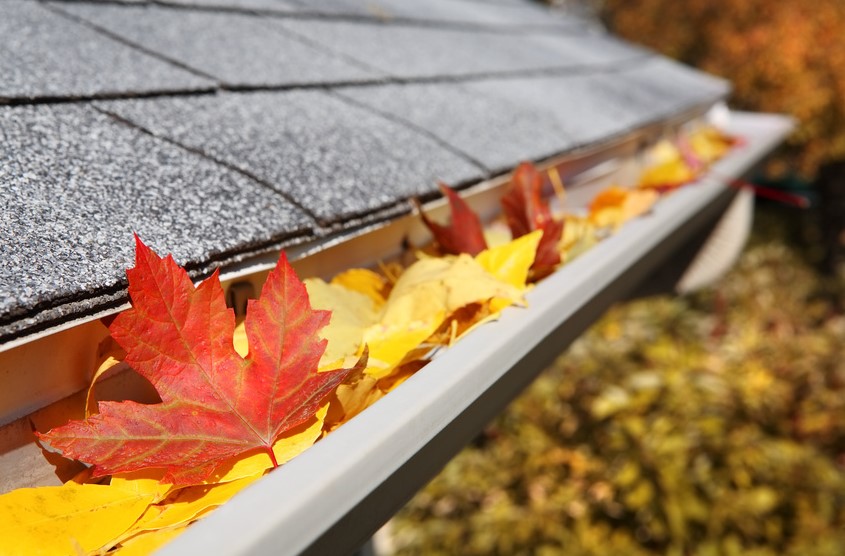 Tips For Cleaning And Repairing Gutters