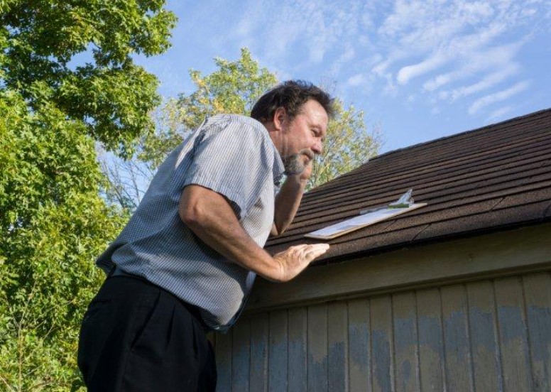 Can A Roof Leak Cause Mold? (& What To Do About it)